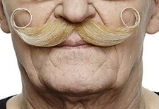 Self Adhesive Fake Mustache, Novelty, Maestro False Facial Hair, Costume Acce...