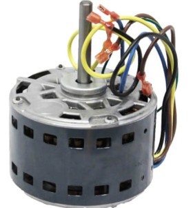 Picture 1