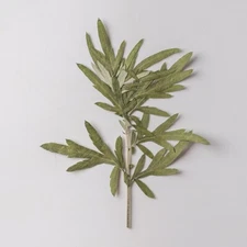 12PCS Real Pressed Dry Grass Leaves, Floral Supply for art craft FSS22