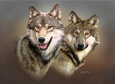 Limited Edition Wolf Print by Robert J. May