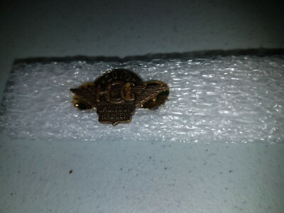 2010 HARLEY OWNERS GROUP HOG H.O.G. LOH LADIES CHAPTER MEMBER PIN