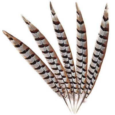Natural Pheasant Feathers 5Pcs Pheasant Tail Feather 12-14Inch for Crafts Hom...