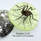 Spider Specimen Glow in Hemisphere Resin Education Collection