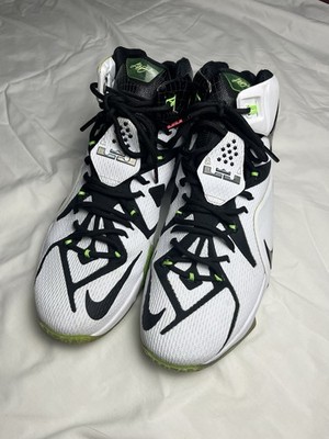 Nike Lebron 12  All Star  Size 11
