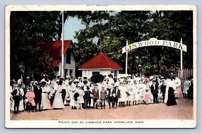 J92/ Vermilion Ohio Postcard c1910 Picnic Day Linworth Park Crowd 338