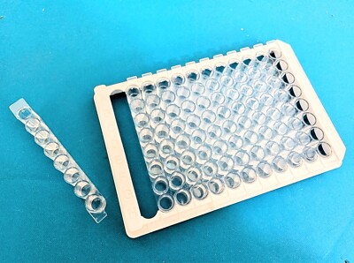 Greiner Bio-One 762070 STRIP PLATE, 12xF8, PS, F-BOTTOM, CLEAR, MICROLON, MED.