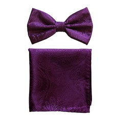 New formal Men's polyester pre-tied bow tie hankie paisley purple wedding