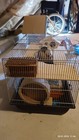 Bild 6 von 7