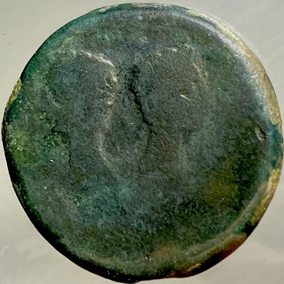 Emperador Augusto Sestercio Cayo y Lucio 27 aC-14 dC Julia Traducta escaso Foto 2 de 4