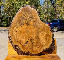 Rare Exotic BURL Live Edge Natural Slab DIY Epoxy Resin Table Top Hard Wood