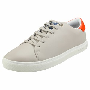 ted baker leepow trainers