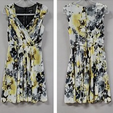 Adrianna Papell Dress Women 6 Floral Fit and Flare Chiffon Sleeveless Pleated