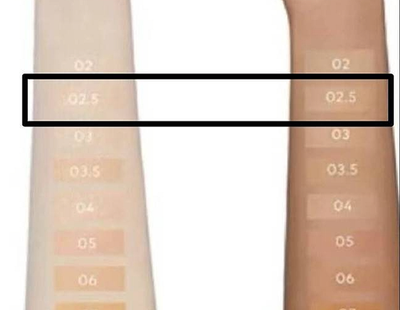 GUCCI CUSHION DE BEAUTE 限定版 14g 02.5 02.5, Cushion De Beauté SPF foundation in shade 02.5 | GUCCI® LU