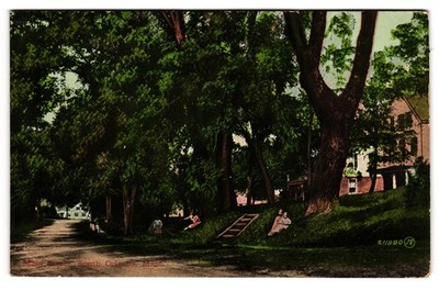 Main Street South Orleans MA Tree Lined Street Postcard
