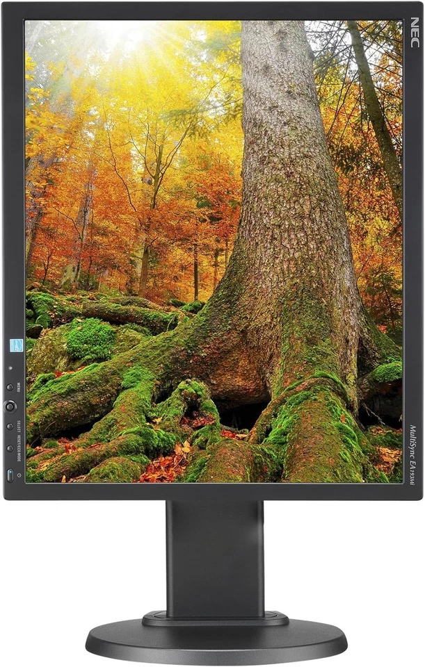 LCD Monitor NEC MultiSync EA193Mi New in Box - Image 2 of 4