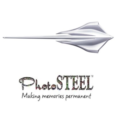 C8 Corvette Stingray Color Wall Emblem Large Metal Art Full 35'' by 10''