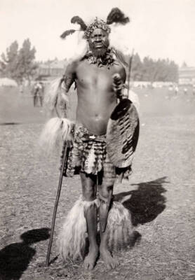 Zulu Chief Wearing His Native Dress In South Africa 1930 OLD PHOTO