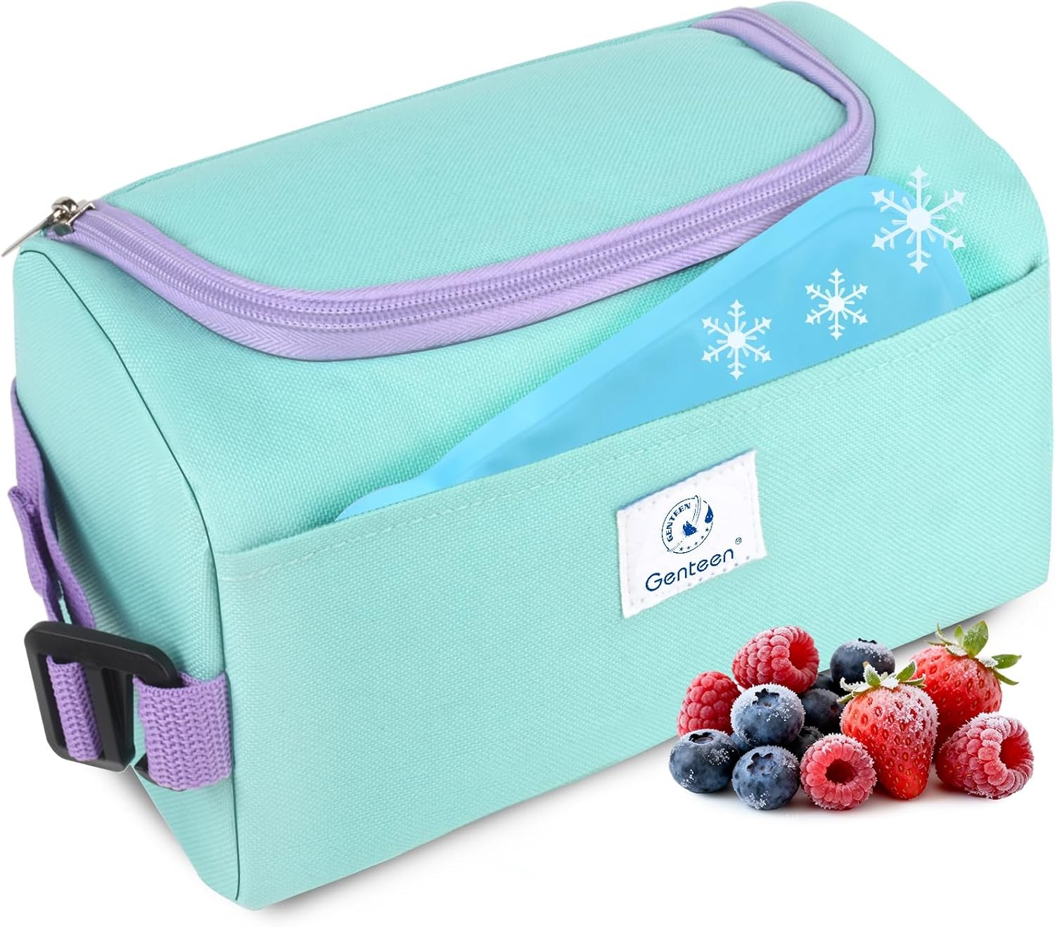 Bag W/ Ice Packs,freezable Lunch Bag/snack