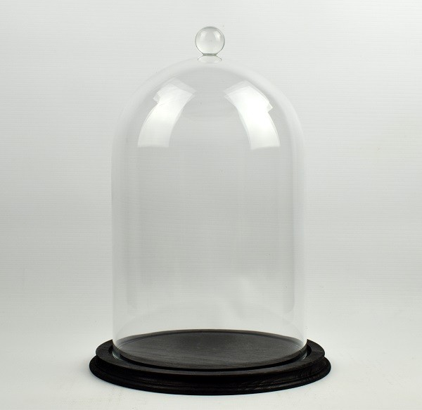 Clear Circular Glass Dome With Knob and Black Vintage Wooden Base H:33x 20 cm