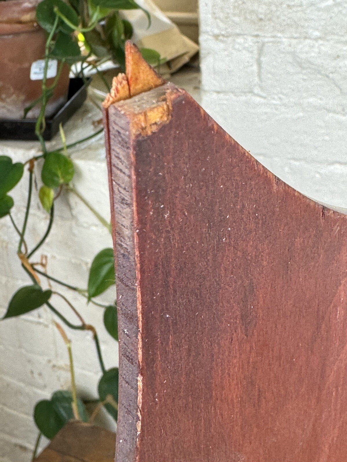 Picture 17 of 17