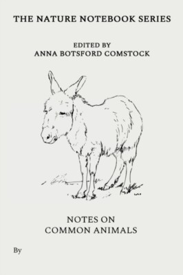 Comstock - Notes on Common Animals - New paperback or softback - X555z
