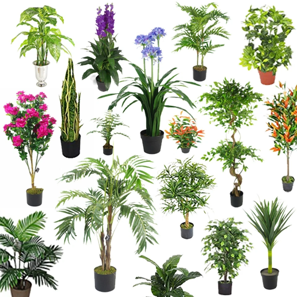 LARGE Artificial Palm Trees, Ficus Plants, Bamboo Tropical Yukka ULTRA REALISTIC - Image 2 of 3