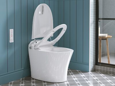 HOROW Smart Toilet Heated Bidet Seat Tankless Toilet Auto Flush Soft Water Clean