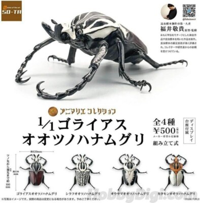 SO-TA 1/1 Goliathus goliathus Insect Capsule Toy All 4 type set 138mm New