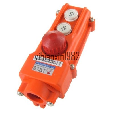 Rainproof Hoist Crane Pushbutton Switch Up Down w Emergency Stop 250V 5A 500V 2A