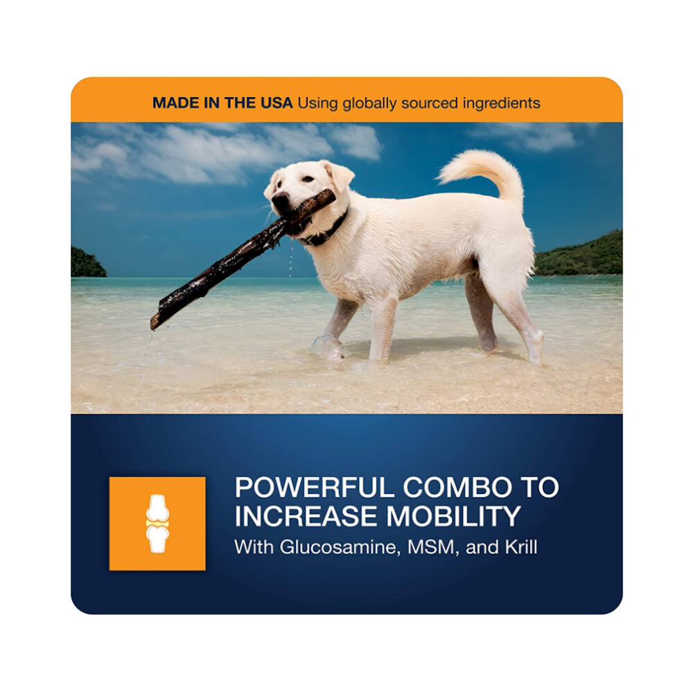 VETIQ Vet Hip and Joint Supplement for Dogs, Soft Chews, 180 Count eBay