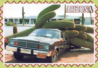 Arizona Saguro Cactus Falls On Car Postcard 4''x6''