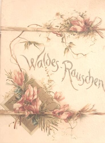 VERY RARE WALDES-RAUSCHEN CHILDREN'S BOOK ILLUSTRATED WITH MUNCHEN LITHOGRAPHS - Picture 1 of 11