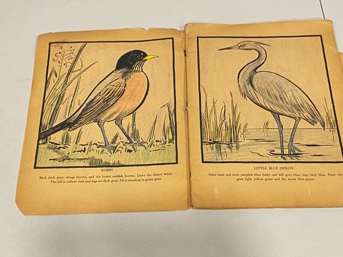 Vintage BIRDS Paint Book Whitman Publishing Company 1936 - Imagen 6 de 7