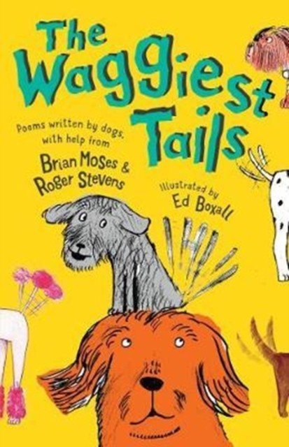 The Waggiest Tails Poems written by dogs by Brian Moses (Paperback Book)