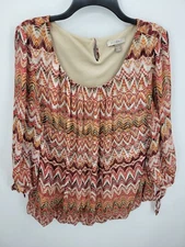 Roz and Ali Top Womens Plus 3X Colorful Chevron Stripe Popover Artsy Stretch