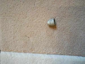 Pro Aqua Original Separator Schraube für Staubsauger PA02