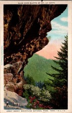 Vintage Alum Cave Bluffs Mt. Le Conte Great Smoky Mountains Postcard