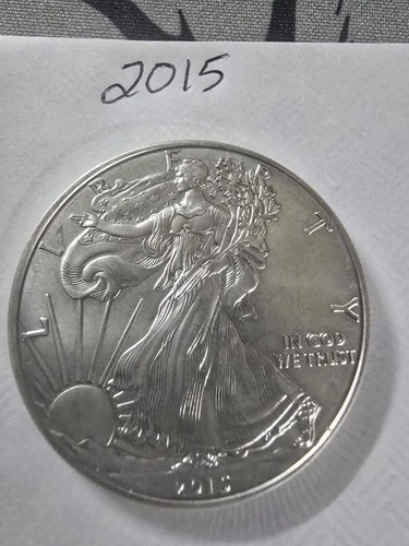 USA 2015 Walking Liberty Silver Eagle $1 Coin Uncirculated One Dollar 31.15g