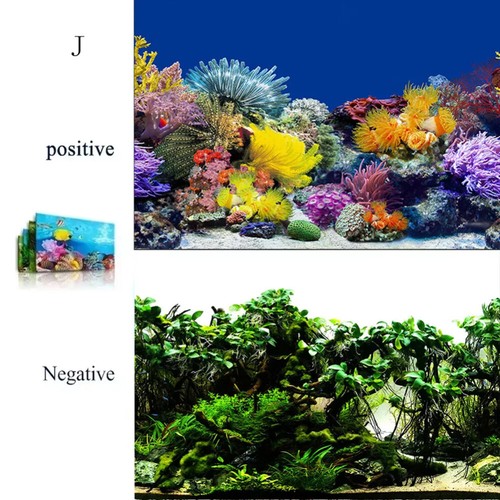 Aquarium Background Sticker Decor Fish Tank Landscape Sticker Poster Background - Picture 31 of 34