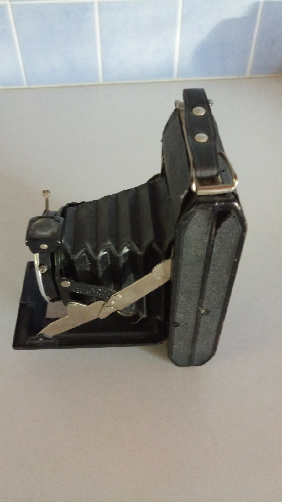 Pierrat, Drepy | The Drepy is a folding bed camera for 8.5x5