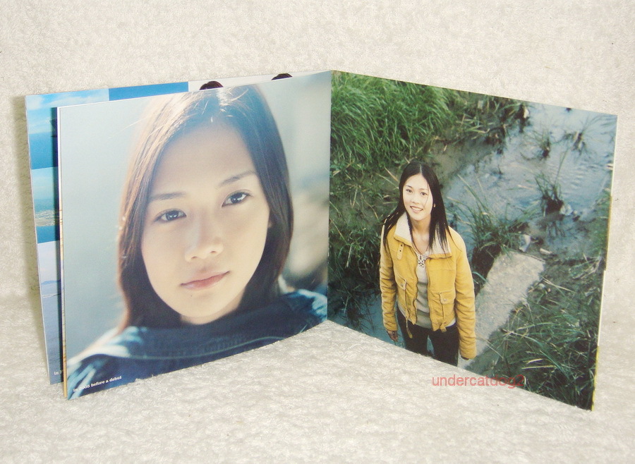 YUI GREEN +ORANGE GARDEN POP Taiwan 2-CD +promo White book | eBay