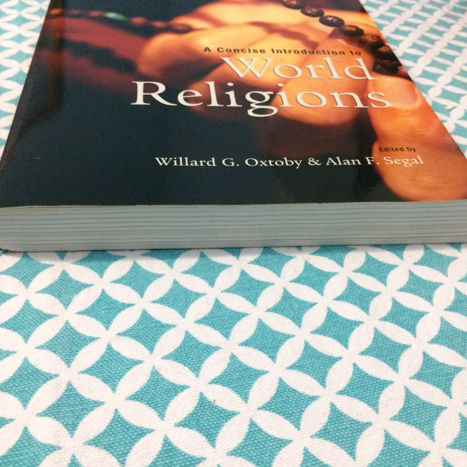 A Concise Introduction to World Religions (2007, Paperback) | eBay
