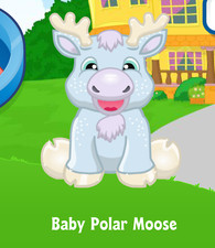 Webkinz Baby Polar Moose Virtual Adoption Code Only Messaged Webkinz Seasonal  