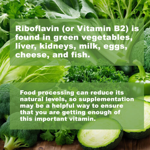 Riboflavina Vitamina B2 400mg Cápsulas-Impulsar Apoyo Energético, Salud del Sistema Nervioso - Imagen 7 de 11