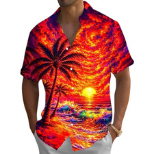 Men's Coconut Tree Sunset Tropical Plants Summer Hawaiian Shirt Button Up Shirt