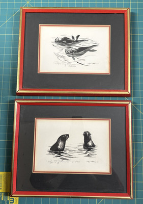 Roger Tory Peterson - Sea Otters & Fur Seals Signed Limited Edition Lithographs