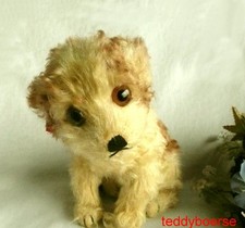 alter ORIGINAL STEIFF HUND Molly   17 cm ohne Knopf • nur von 1959-1967