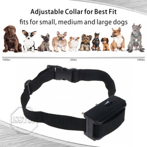 automatic dog shock collar