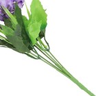 Bild 16 von 43