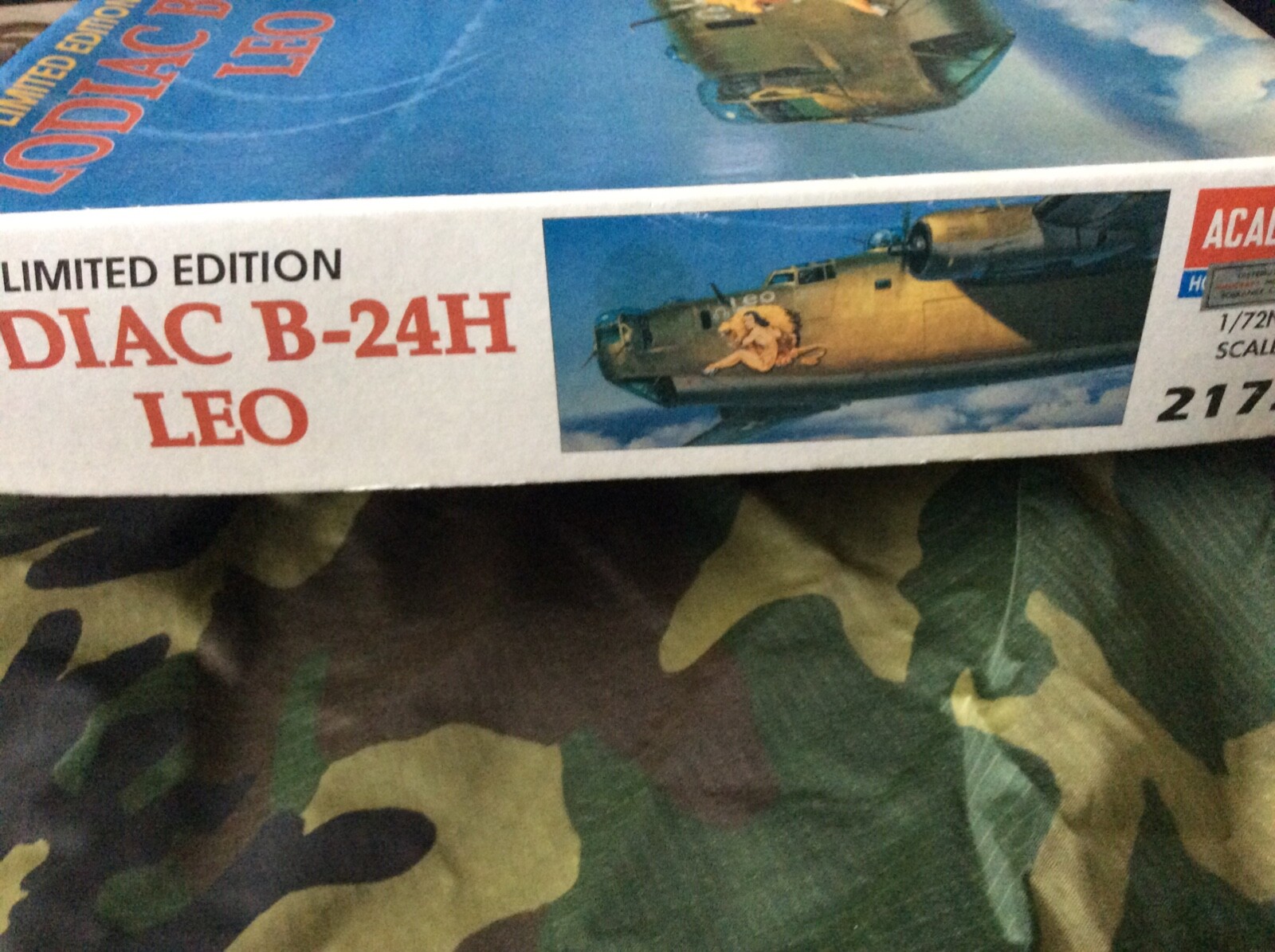 Picture 10 of 19